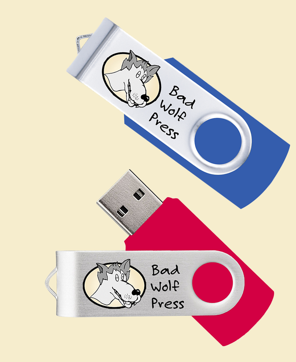 usb-blue-red USB(A) Flash Drive - Downloadable File Backup - Image 1